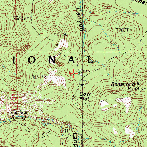 Topographic Map of Cow Flat Spring, AZ