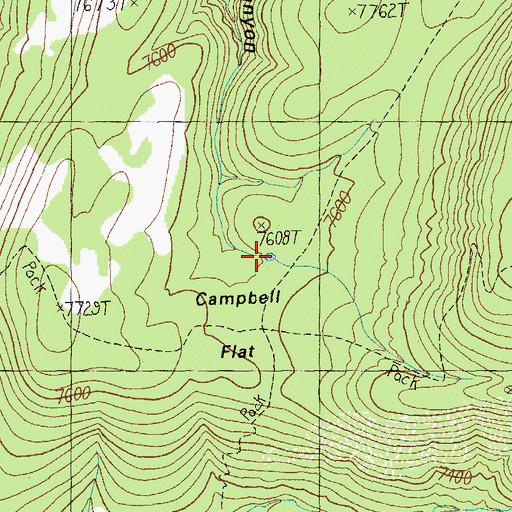 Topographic Map of Campbell Flat Lake, AZ