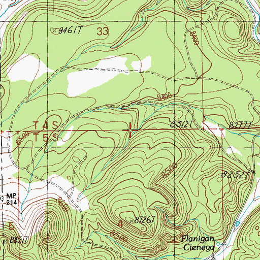 Topographic Map of Turner Tank, NM