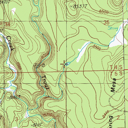 Topographic Map of Mesa Tank, NM