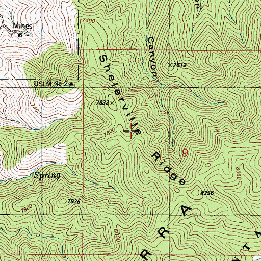 Topographic Map of Shelerville Ridge, NM
