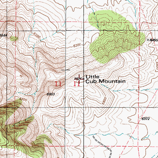 Topographic Map of Little Cub Mountain, NM