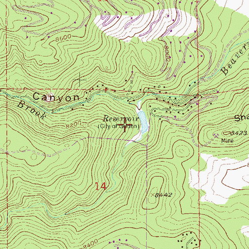 Topographic Map of Beaver Brook Number 2 Dam, CO