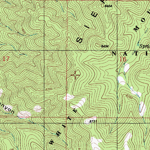 Topographic Map of Oakridge Trail, NM