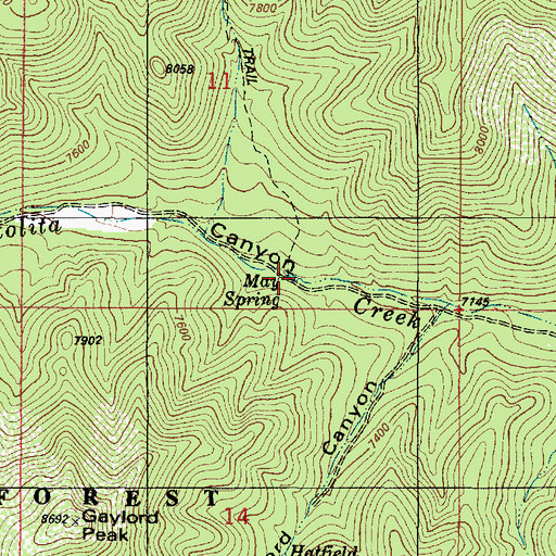 Topographic Map of May Spring, NM