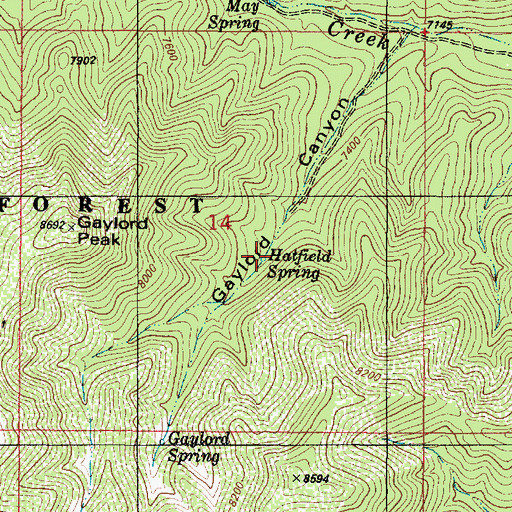 Topographic Map of Hatfield Spring, NM