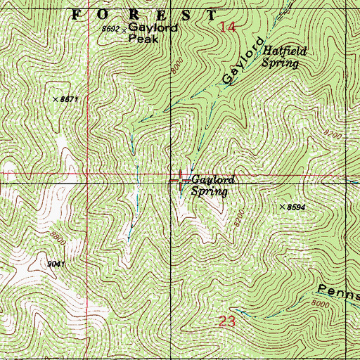 Topographic Map of Gaylord Spring, NM