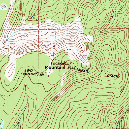 Topographic Map of Tucson Mountain, NM
