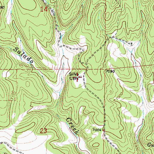 Topographic Map of Silva Cemetery, NM