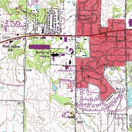 Topographic Map of J L Buford Elementary School, IL