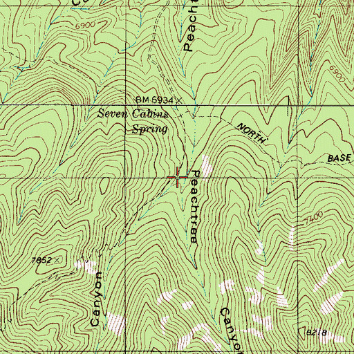 Topographic Map of Seven Cabins Canyon, NM