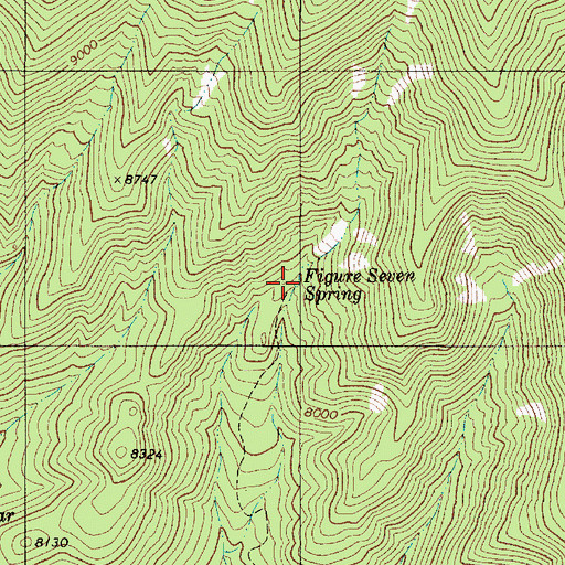 Topographic Map of Figure Seven Spring, NM