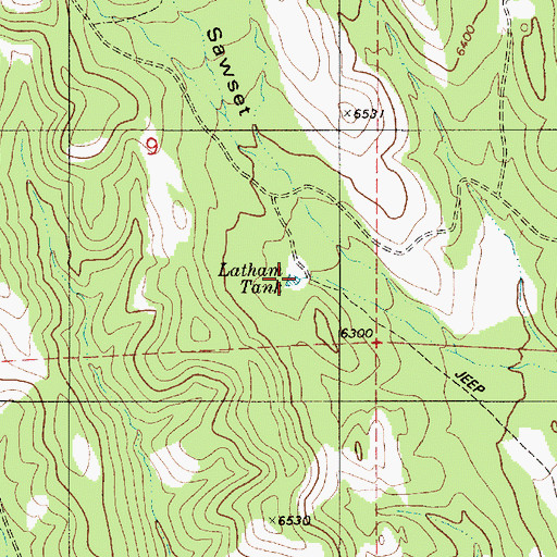 Topographic Map of Latham Tank, NM