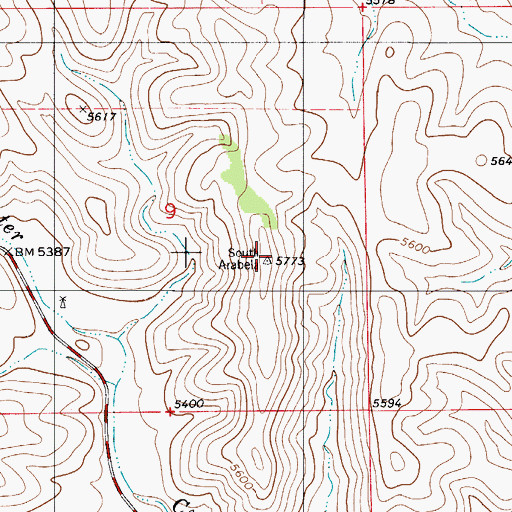 Topographic Map of South Arabela, NM