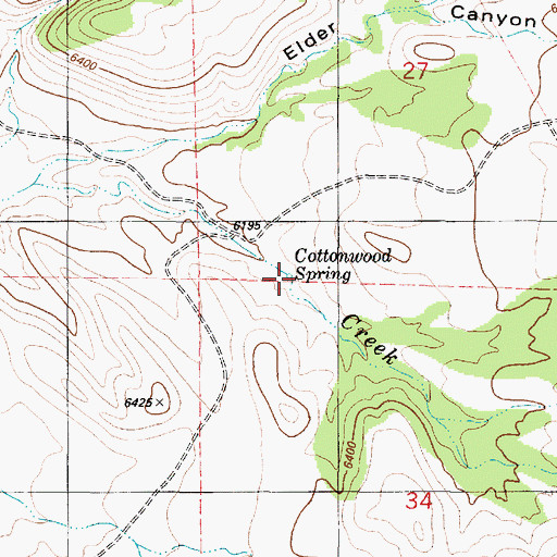 Topographic Map of Cottonwood Spring, NM