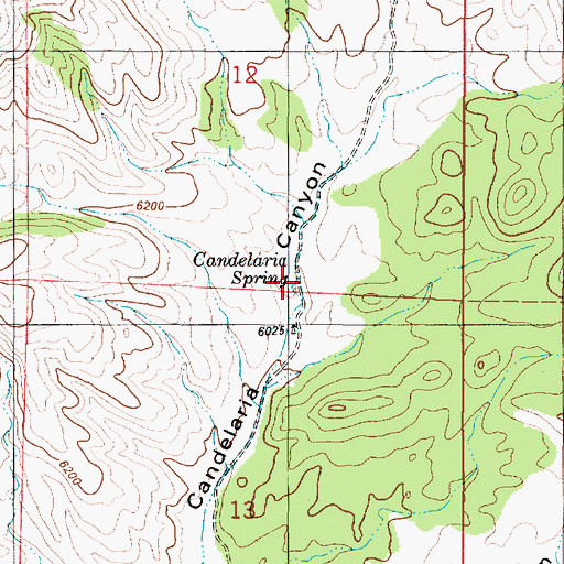 Topographic Map of Candelaria Spring, NM