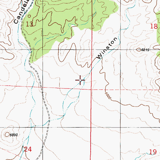 Topographic Map of Winston Canyon, NM