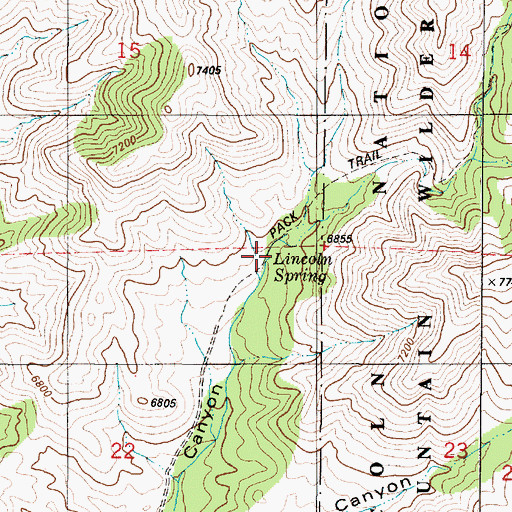 Topographic Map of Lincoln Spring, NM