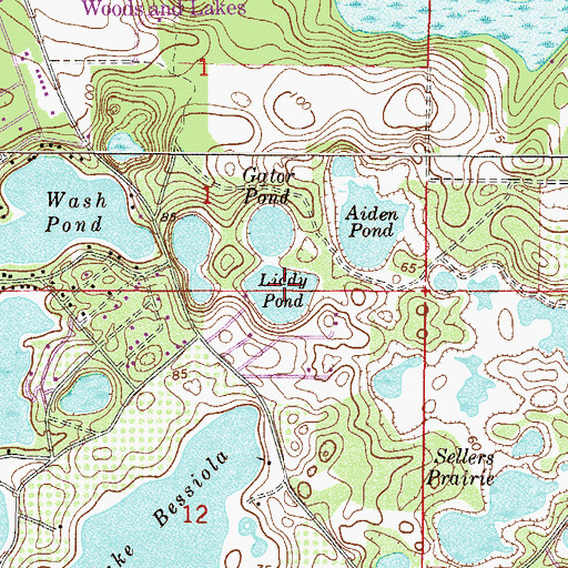 Topographic Map of Liddy Pond, FL