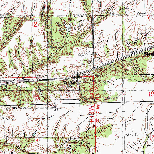 Topographic Map of Neelyville Cemetery, IL