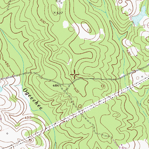 Topographic Map of Brooking Family Cemetery, GA