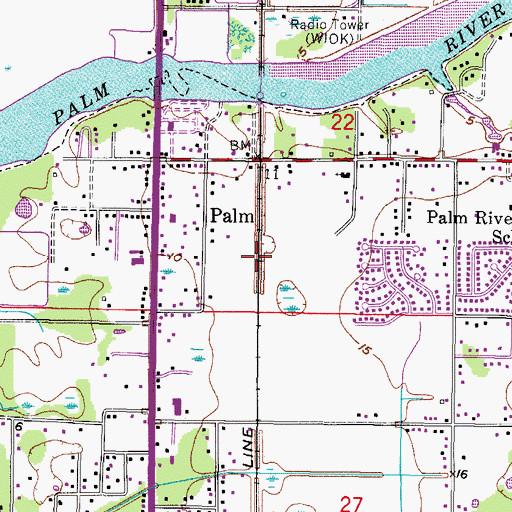 Topographic Map of Palm, FL