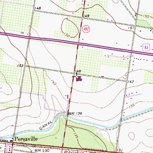 Topographic Map of Flores Elementary School, TX