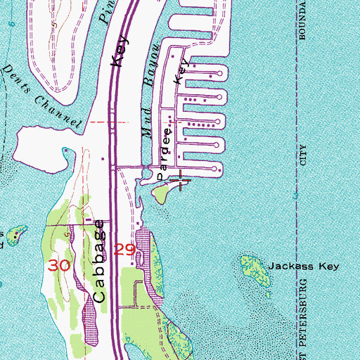 Topographic Map of Pardee Key, FL