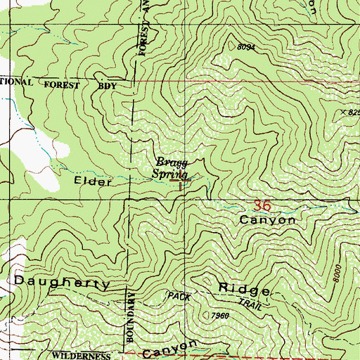 Topographic Map of Bragg Spring, NM