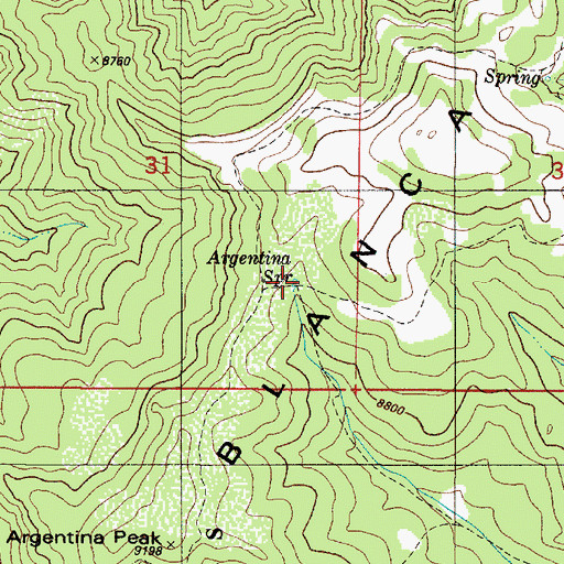Topographic Map of Argentina Spring, NM