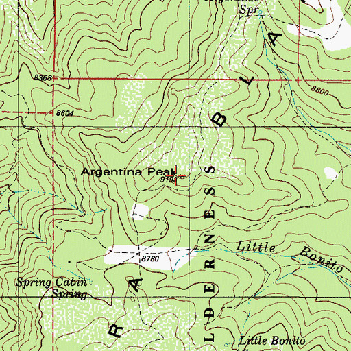 Topographic Map of Argentina peak, NM