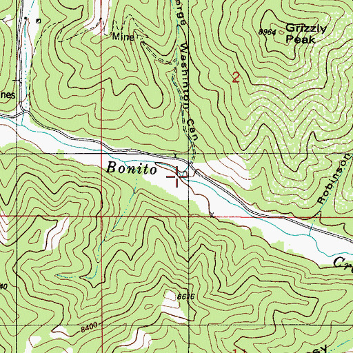 Topographic Map of George Washington Canyon, NM