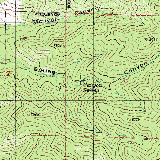 Topographic Map of Canyon Spring, NM