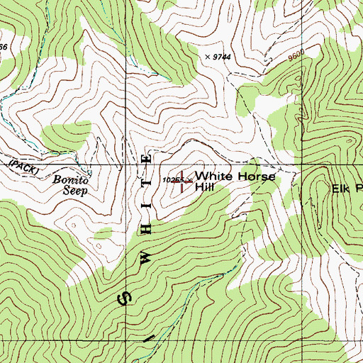 Topographic Map of White Horse Hill, NM