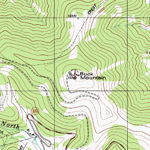 Topographic Map of Buck Mountain, NM