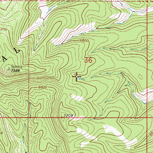 Topographic Map of West Tank, NM