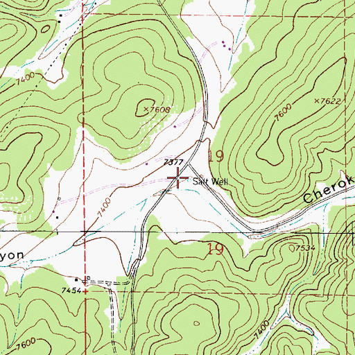 Topographic Map of Salt Well, NM