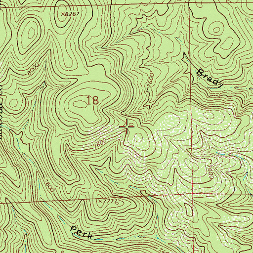 Topographic Map of Perk Ridge Trail, NM