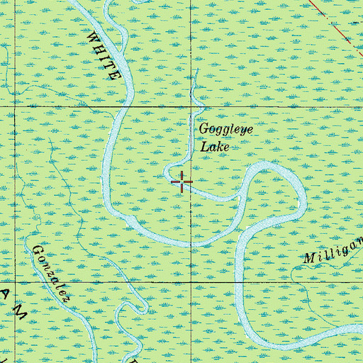 Topographic Map of Goggleye Lake, FL