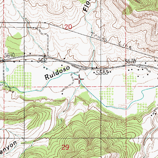 Topographic Map of Flores Canyon, NM