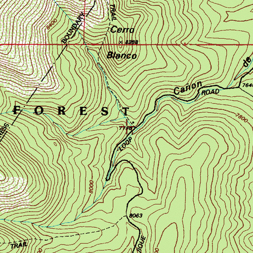 Topographic Map of Cerro Blanco Trailhead, NM