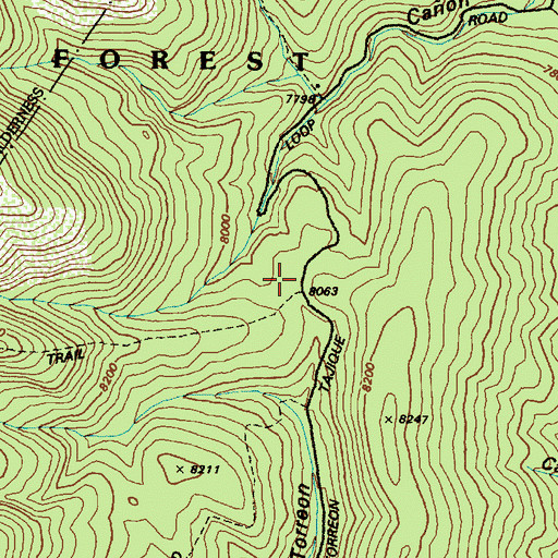 Topographic Map of Bosque Trailhead, NM