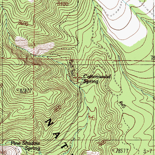 Topographic Map of Cottonwood Spring, NM