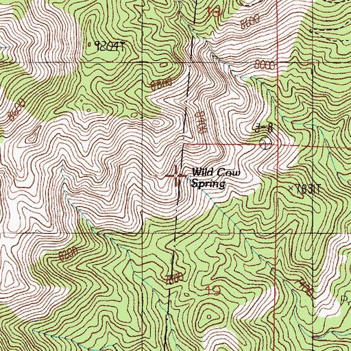 Topographic Map of Wild Cow Spring, NM