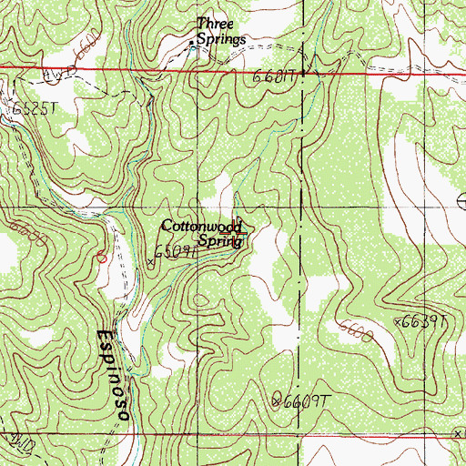 Topographic Map of Cottonwood Spring, NM
