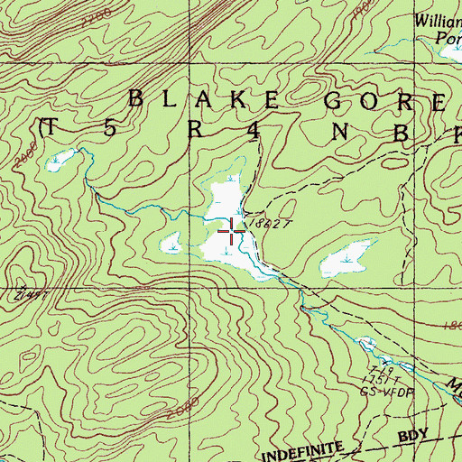 Topographic Map of Blake Gore, ME
