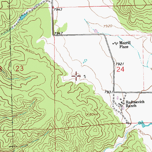 Topographic Map of Silva Ranch, NM