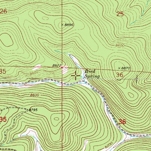 Topographic Map of Bird Spring, NM