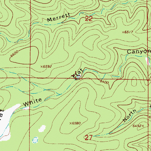 Topographic Map of White Flat Tank, NM