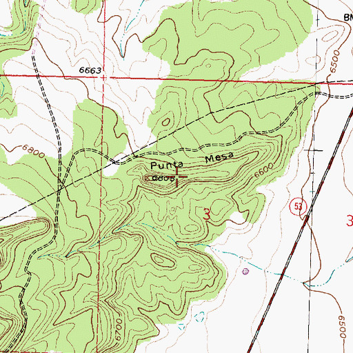 Topographic Map of Punta Mesa, NM